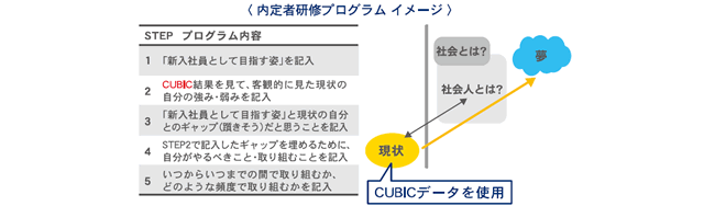 CUBIC TRIUMPH ver.Ⅱ 図